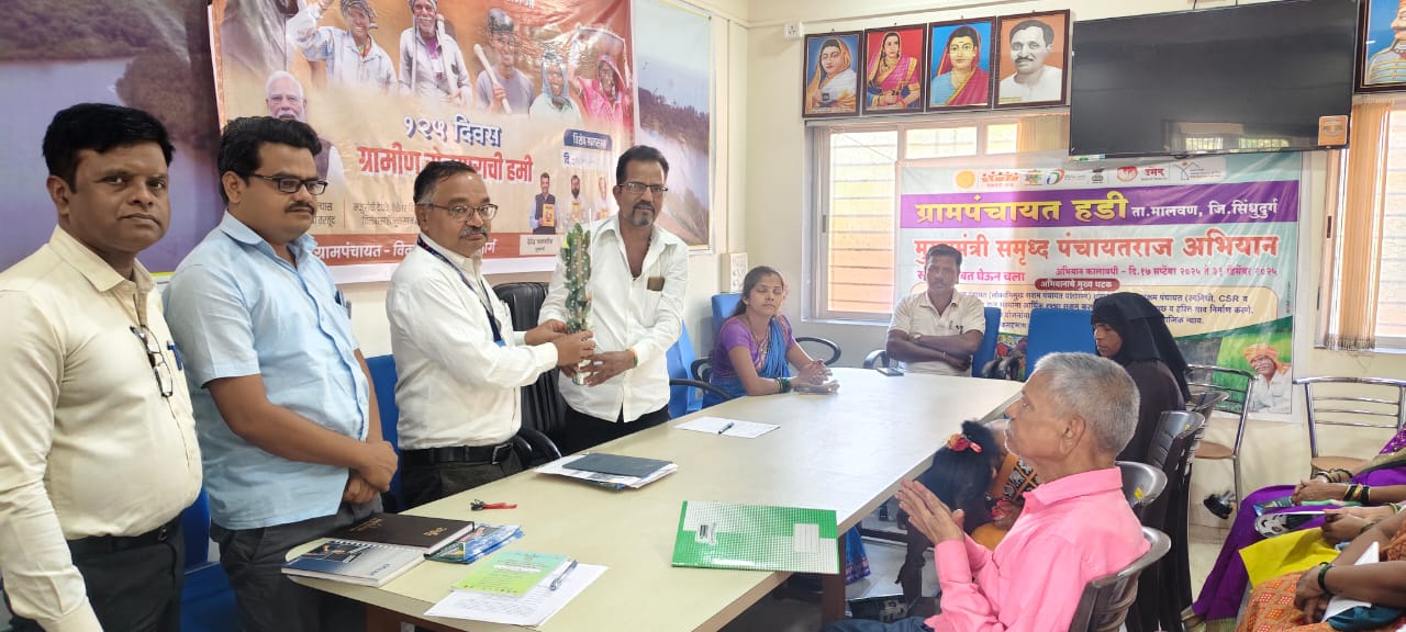 SMART Solar programme at Gram Panchayat Hadi